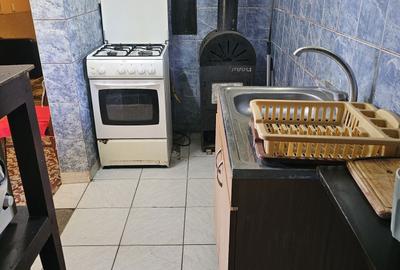 Casă cu 2 camere cu Teren 4000 Mp în Central - 4
