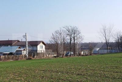 Teren 12223mp, deschidere 27mp, intravilan, Berceni - 2