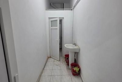 Spațiu comercial, de 366 mp, în Theodor Pallady - 6