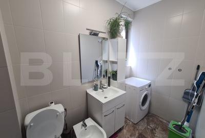 Casa Bucium zona Plopii fara Sot - 6