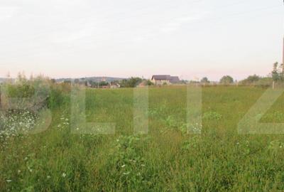 Teren intravilan 6000 mp cu 2 fronturi, parcelabil - 4