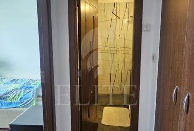 Apartament cu 2 camere semidecomandat, mobilat în Gheorgheni - 9