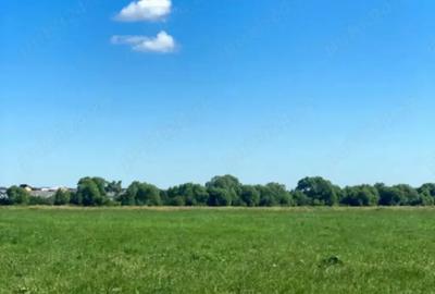 Teren de 8800 mp, în Central