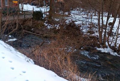 Casă cu 3 camere cu Teren 465 Mp în Boița - 1