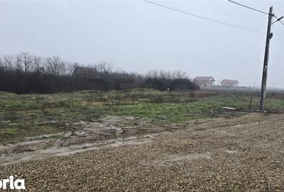 Teren de 501 mp, în Nojorid - 3