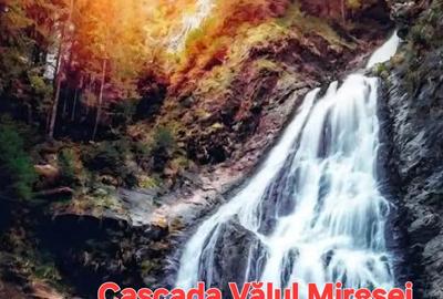 Teren de 26403 mp, în Negreni - 10