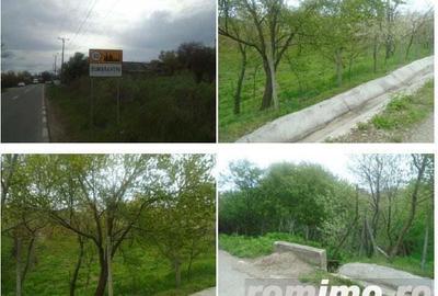 Teren extravilan livada cota 1/2 Candesti, ID : R1965265 - 5