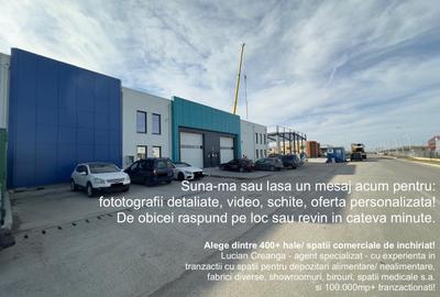 Hala, showroom de inchiriat, 1156mp, Parc Miroslava - 1
