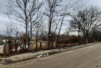 Oportunitate de investitie, teren intravilan Husi, 10435 mp - 4