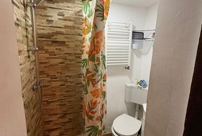 Garsoniera 30 mp - Mosilor - 7