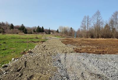 Proiect dezvoltare COMPLEX turistic Valea Avrigului - 4