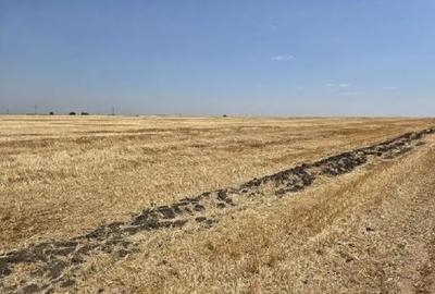 Teren de 16700 mp, în Periferie - 3