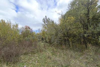 Teren de 3800 mp, în Cornu - 5