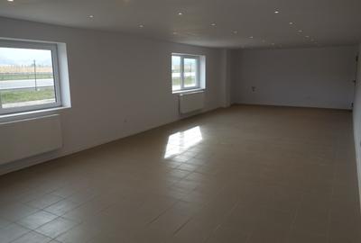 SPATIU INDUSTRIAL - PARC INDUSTRIAL CRISTIAN  BRASOV - 4