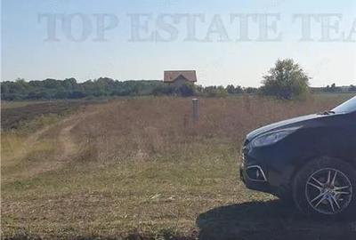 Teren intravilan 511mp in Corbeanca - 4