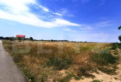 Oferta! Teren 6358 mp, intravilan, parcelabil, zona Aeropor - 2