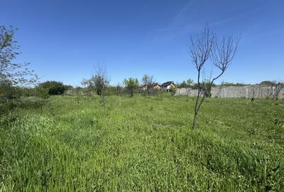 Teren Construcții intravilan de 2775 mp, în Clinceni - 1