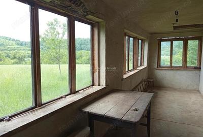 Teren de 16000 mp, în Borlovenii Noi - 1