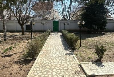 VILA SUPERBA CU CURTE, VEGETATIE SI ANEXE - 6