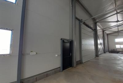 Zona Catelu, hala noua 595 mp cu birouri 15mp - 6