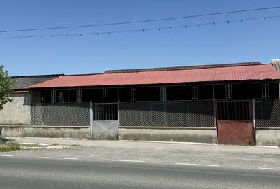 Spațiu comercial, în Satu Nou - 5