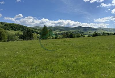 Teren exceptional Valea Dobarlaului - oportunitate investitie