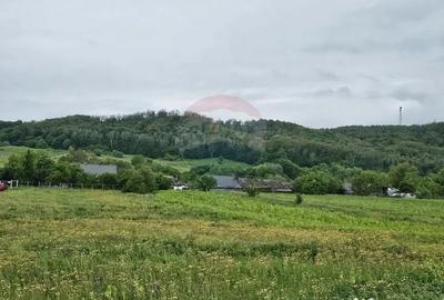 Teren de 1495 mp, în Dobreni - 15