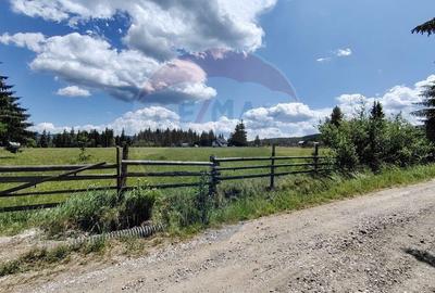 Teren de 9685 mp, în Neagra - 3