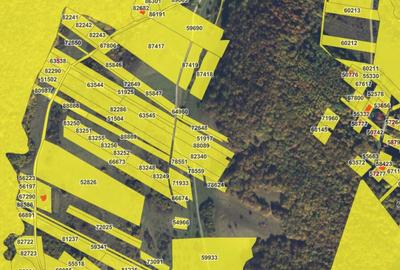 Teren intravilan pentru constructii cu regim mic de inaltime, Floresti - 4