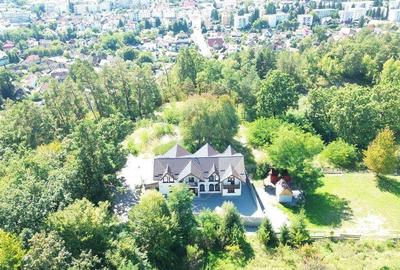 Pensiune de vanzare in Sovata Conacul Cosalina - 7