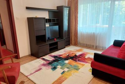 Apartament cu 2 camere semidecomandat în Podu Roș - 2