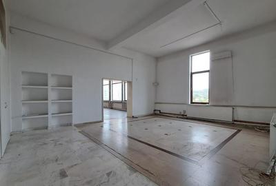 Spatiu comercial suprafete intre 130-87-217 mp zona Plevnei - 2