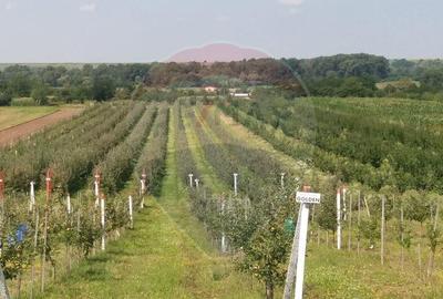 Vanzare teren Livada - Ferma Arges - Izbasesti / DN 142 l... - 1