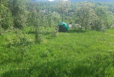 Teren de 1272 mp, în Ghioșești - 2