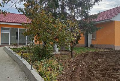 Casă cu 6 camere cu Teren 2000 Mp în Târgu Bujor - 3