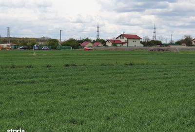 Teren de 800 mp, în Balotești - 2