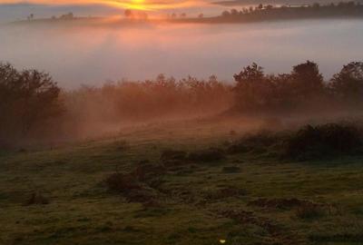 Casă cu 3 camere în Brusturi - 5