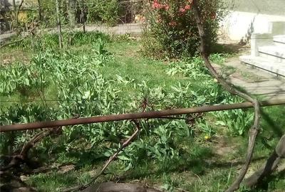 Casă cu 5 camere cu Teren 780 Mp în Central - 4