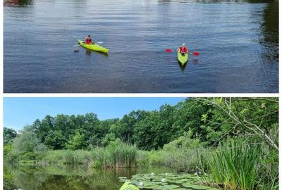 Apartament cu 3 camere în Gruiu - 2