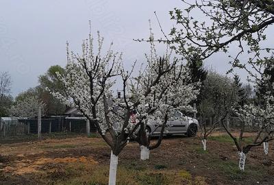 Casă cu Teren 5700 Mp în Stolniceni-Prăjescu - 1