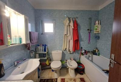 Casa 3 Camere, beci, magazie, mansarda - 500 mp Teren - 15
