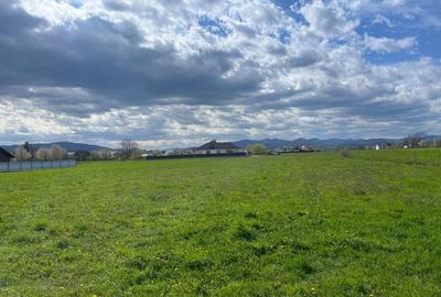 Teren de 3600 mp, în Vicovu de Sus - 1