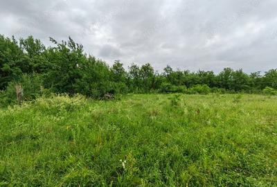 Teren de 18645 mp, în Sântămăria de Piatră - 17