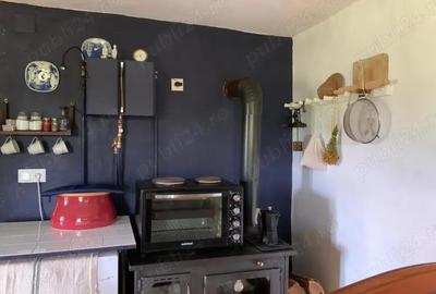 Casă cu 2 camere cu Teren 20000 Mp în Târnova - 7