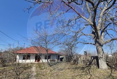 Casa cu teren 627 mp - 1