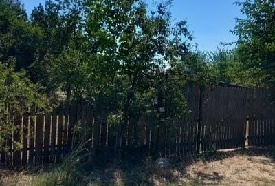Casă cu teren intravilan 3.700 mp Balanoaia, 11 €/mp, deschidere 32 m, utilități - 15