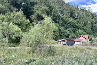 Teren Construcții intravilan de 4000 mp, în Brădet - 16