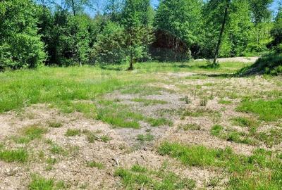 Spațiu comercial, în Hoteni - 2