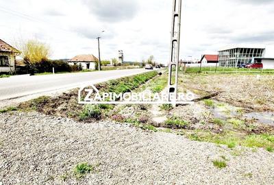 Teren 13.000 mp 25 euro mp.Ernei deschidere la drum Judetean - 1