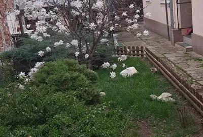 Casa de vanzare - 10